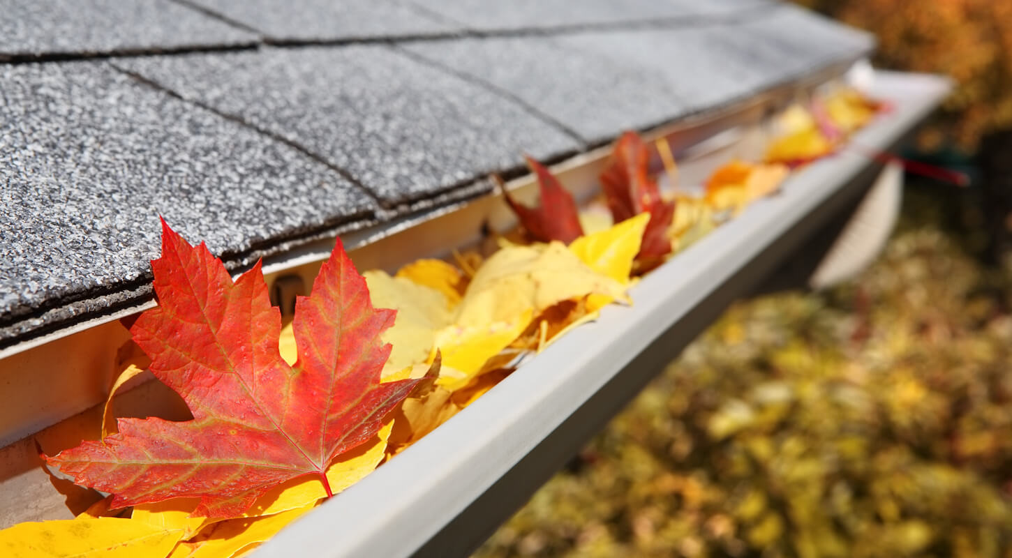 Roof Gutter with leaves